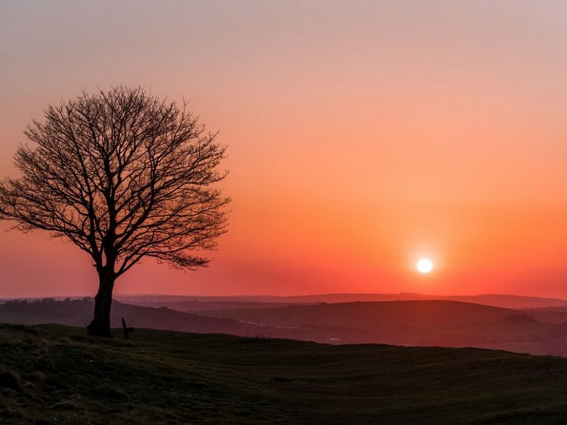 Photo Competition Vote Open